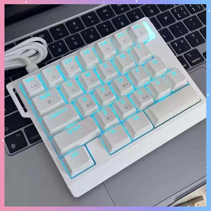 Gaming Keyboard Mechanical - Tastiera Meccanica da Gaming HE30, 29