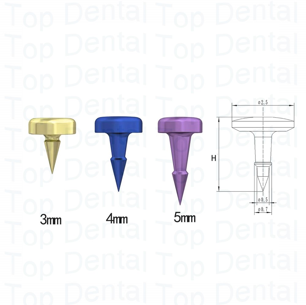 10 pz Dentale Sistema GBR Viti - Stabilizer Screw In recensione e prezzo